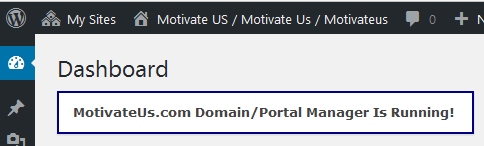 Motivate Us Domain Manager Running